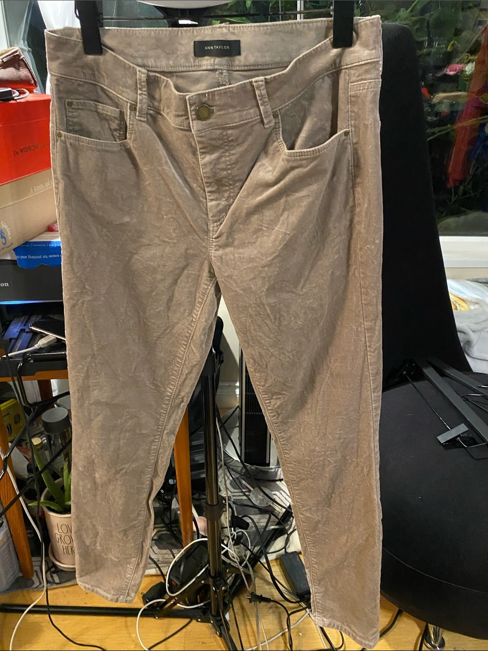 Ann Taylor Straight Leg Velour Type Pants in Light Tan